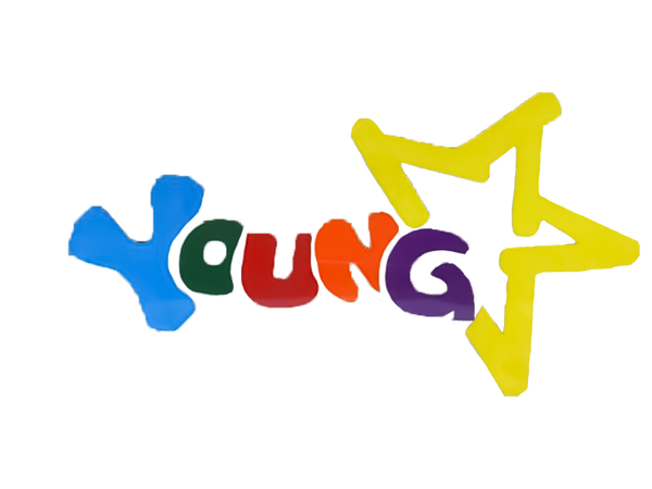Young Star Wholesale, Inc.